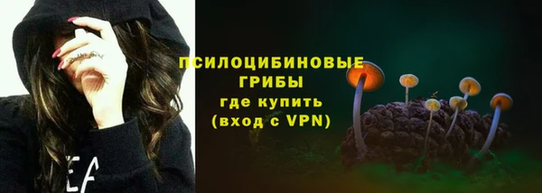 прущие грибы Алзамай