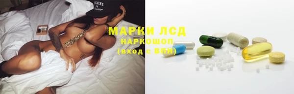 гидра Алексин