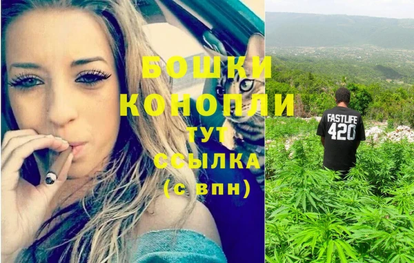прущие грибы Алзамай