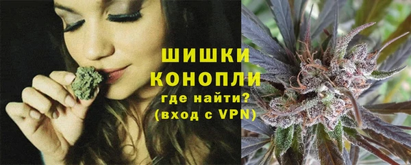 прущие грибы Алзамай