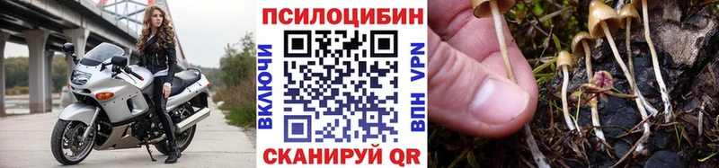 Галлюциногенные грибы Psilocybine cubensis  площадка формула  Нытва 